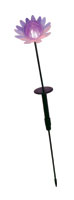 Creative Energy Technologies Inc: Chameleon Color Changing Solar Garden Accent Stakes